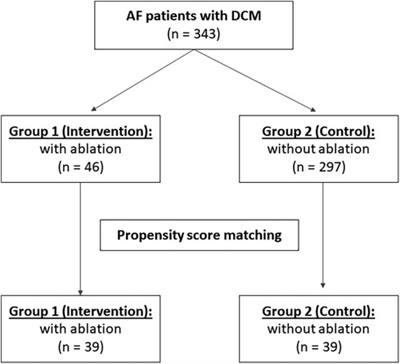 Catheter ablation in patients with atrial fibrillation and dilated cardiomyopathy